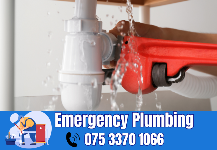  plumber Eddington