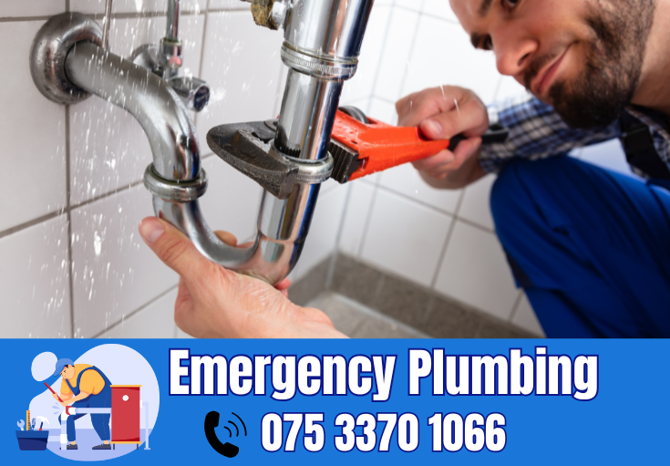  plumber Beltinge